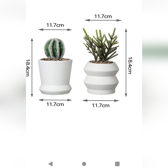 Cactus Plants in Pots. Set of two. Artificial. New. Teresa's Collection. - Picture 2 of 3